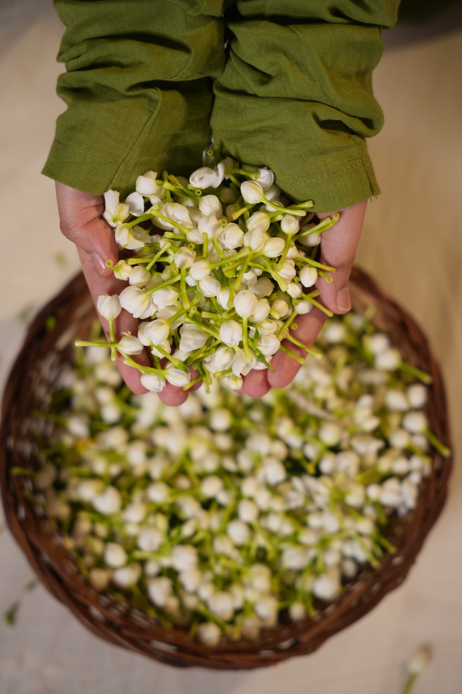 8238043f-5a68-4a5a-b0d8-03d4d3b41d48